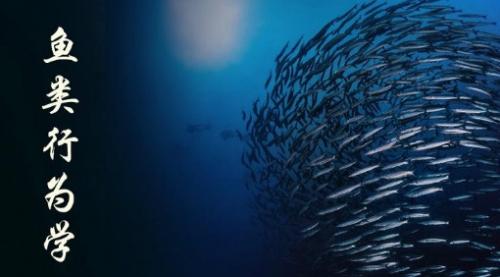 鱼类行为学-大连海洋大学